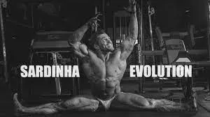 Capa de Sardinha Evolution: Baixe o Curso Completo Fernando Sardinha
