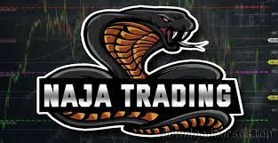 Capa de CURSO Take Trader Download: Domine o Mercado Agora!