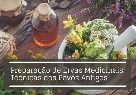 Capa de Baixar Preparação Ervas Medicinais: Curso Antigo Afonso Lopes