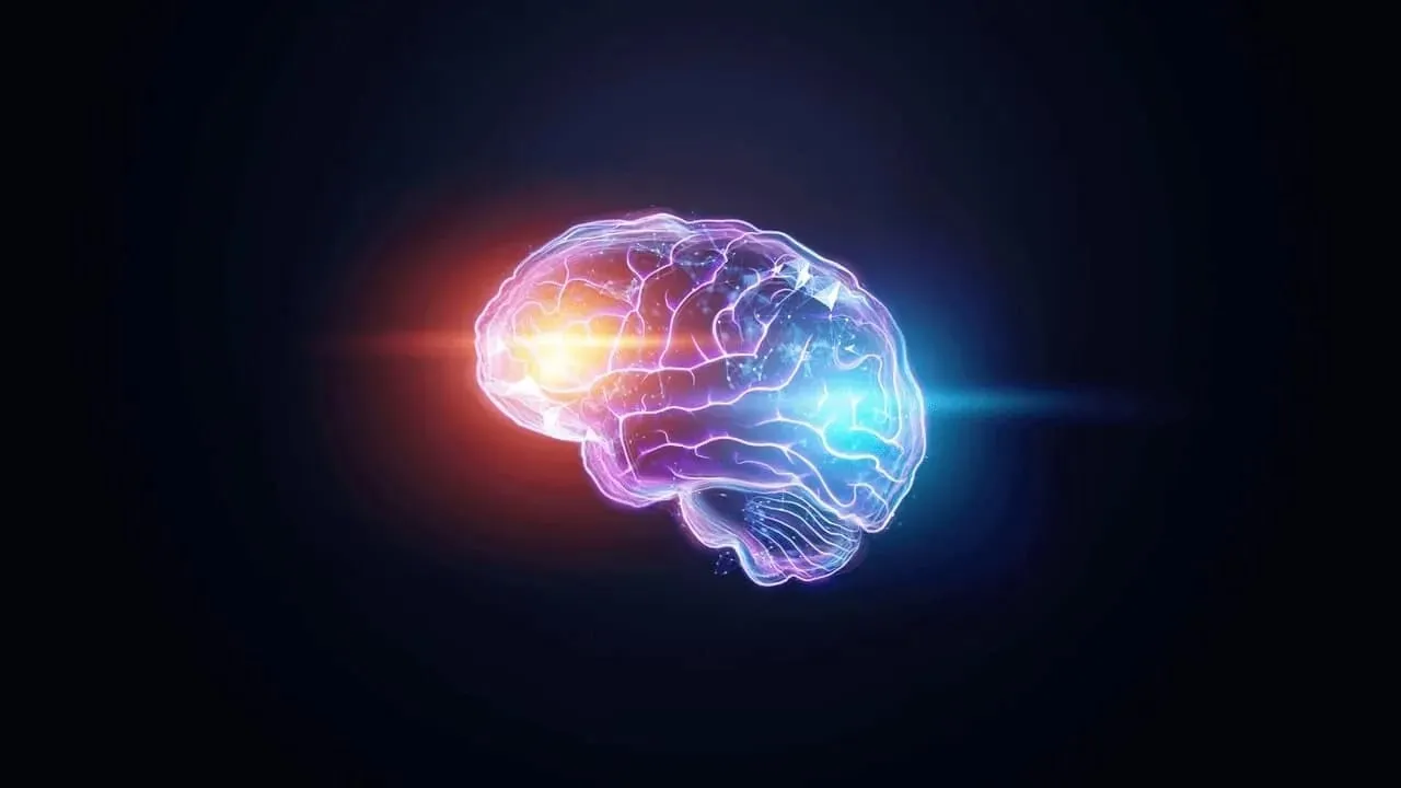 Capa de Data Science na Prática: Baixar Curso Completo Carlos Melo (Sigmoidal)