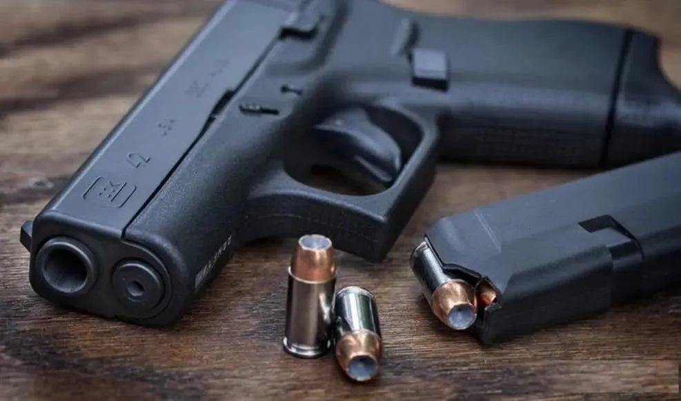 Capa de Baixar Curso Despachante de Arma de Fogo + Suporte Credenciamento – Venilton Serpa