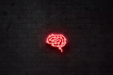 Biohack Academy Rodrigo Barbi - Otimização de alta produtividade e bem-estar